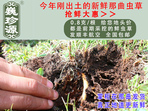 rx(chng)Ĳ շb 0.8/r(ji)80Ԫ/