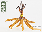 x(chng)Ĳ2.5l/ ڲ x؛r(ji)252Ԫ/